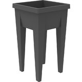 EDA Mini-jardinire "VEG&Table" Aromatique, anthracite