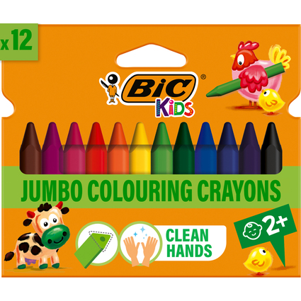 BIC Crayon de cire Plastidecor Triangle, tui de 12