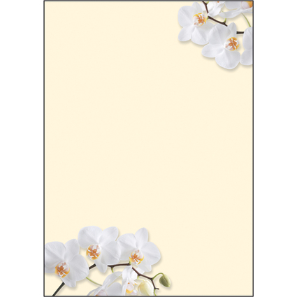 sigel Papier  motif, A4, 90 g/m2, motif "White Orchid"