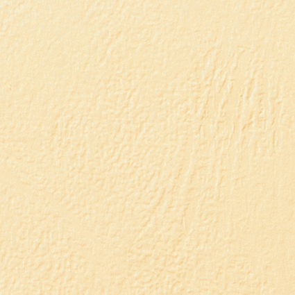 GBC Couverture de reliure grain cuir, A4, 250 g/m2, ivoire