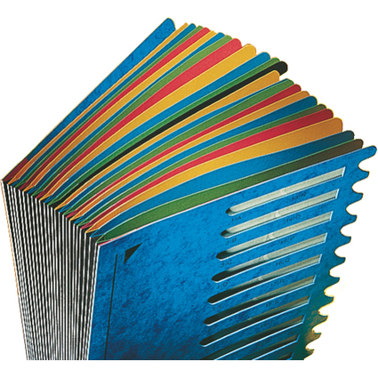 LEITZ Trieur Deskorganizer Color, A4, 1-24/A-Z, bleu