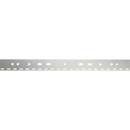 LEITZ Bande de classement A4, 21 trous, transparent