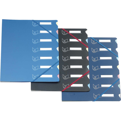 extendos Trieur  lastique srie 437, 7 touches, assorti