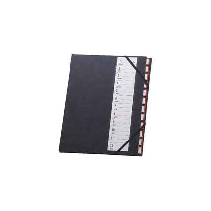 extendos Trieur 48.12, 12 compartiments, avec lastique
