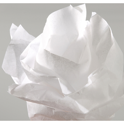 CANSON Papier de soie, 0,5 x 5,0 m, 20 g/m2, blanc