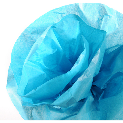 CANSON Papier de soie, 0,5 x 5,0 m, 20 g/m2, bleu turquoise
