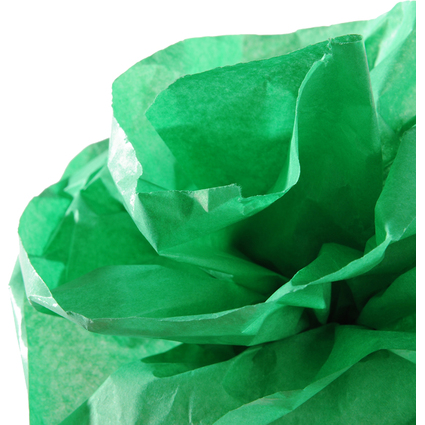 CANSON Papier de soie, 0,5 x 5,0 m, 20 g/m2, vert franc