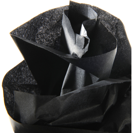 CANSON Papier de soie, 0,5 x 5,0 m, 20 g/m2, noir