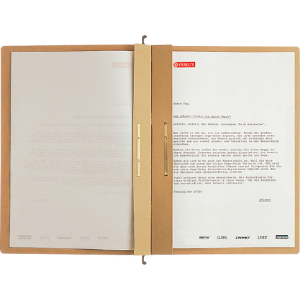 LEITZ Dossiers suspendus  2 compartiments ALPHA, A4, soude