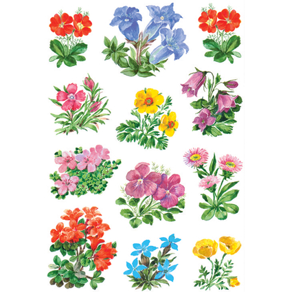 HERMA Autocollants DECOR "Fleurs de montagne"