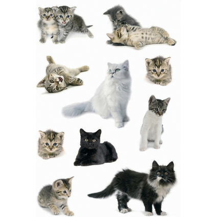 HERMA Autocollants DECOR "Photos de chats"