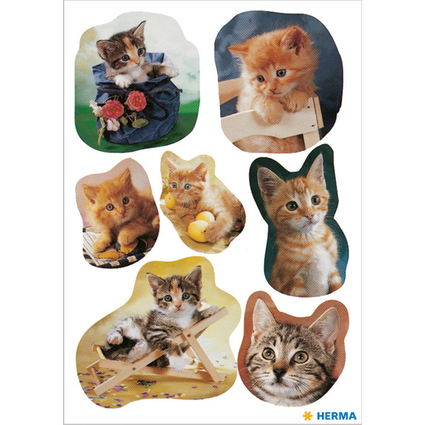 HERMA Autocollants DECOR "Chatons photogniques"