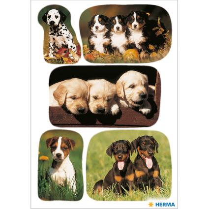 HERMA Autocollants DECOR "Photos de chiots"