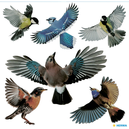 HERMA Etiquette de signalisation "oiseaux", multicolore