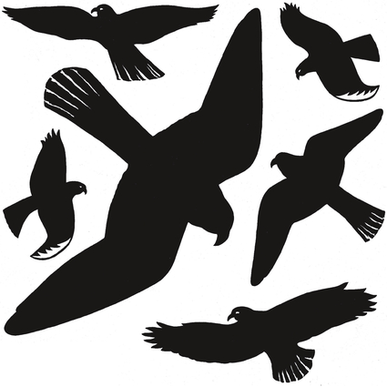 HERMA Oiseaux de vitres, film, rsistant aux