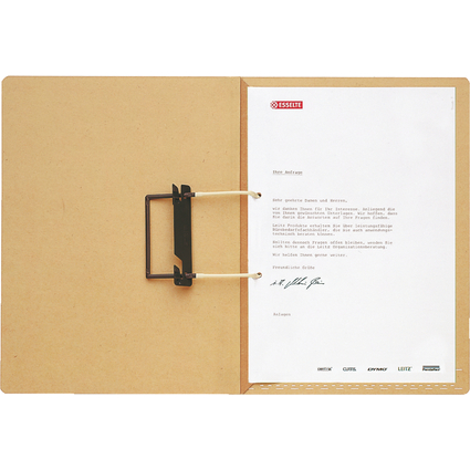 LEITZ dossiers suspendus, avec pochette tirable, A4, soude