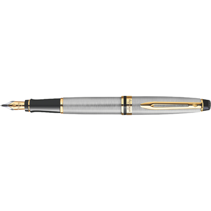 WATERMAN Stylo plume Expert, Metallic G.T.