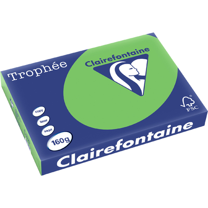 Clairefontaine Papier universel Trophe, A3, vert menthe