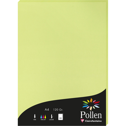 Pollen by Clairefontaine Papier A4, vert bourgeon