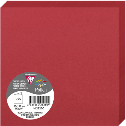 Pollen by Clairefontaine Carte double 135 mm,rouge groseille