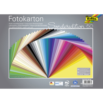 folia Carton de bricolage, (L)250 x (H)350 mm