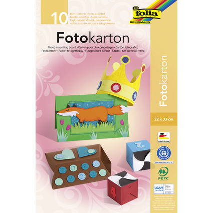 folia Bloc de carton de bricolage, 220 x 330 mm