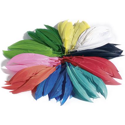 folia Plumes d'indiens, 100 g, assorti