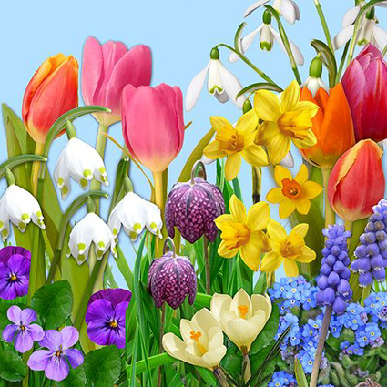 PAPSTAR Serviettes  motif de Pques "Flowers of Spring"