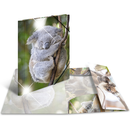 HERMA Chemise  lastiques "koala", PP Glossy, A4