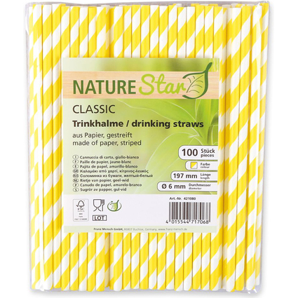 NATURE Star Paille en papier, 197 mm, ray rouge/blanc