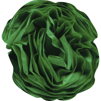 Clairefontaine Papier de soie, (l)500 x (H)750 mm, vert pr