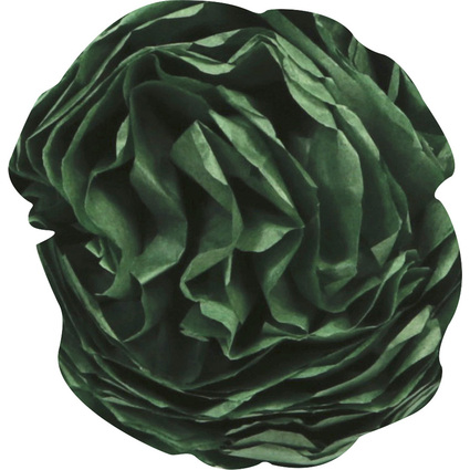 Clairefontaine Papier de soie, (l)500 x (H)750 mm, vert