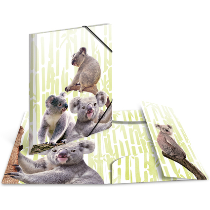 HERMA Chemise  lastiques Animaux exotiques, A4, koalas