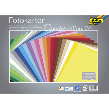 folia Carton de bricolage, (L)500 x (H)700 mm, 300 g/m2