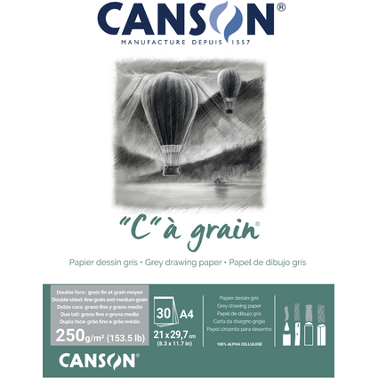 CANSON Bloc papier dessin "C"  grain Couleur, gris chin