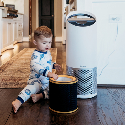 LEITZ Filtre HEPA anti-odeur pour purificateur d'air