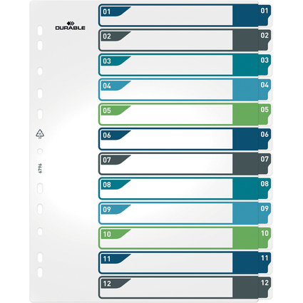 DURABLE Intercalaire en plastique, numrique, A4+