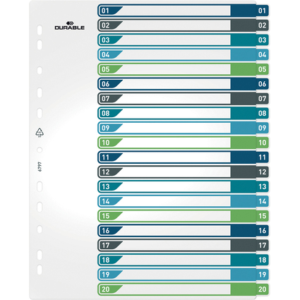 DURABLE Intercalaire en plastique, numrique, A4+