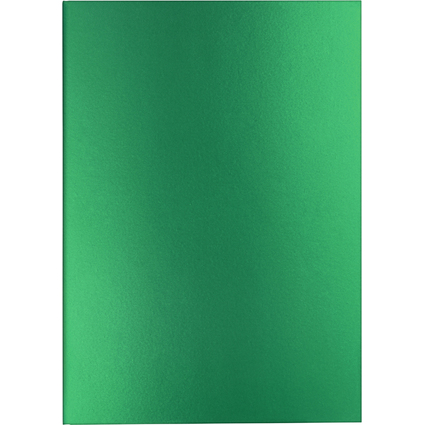 CARAN D'ACHE Carnet de notes COLORMAT-X, A5, lign, vert