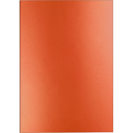 CARAN D'ACHE Carnet de notes COLORMAT-X, A5, lign, orange