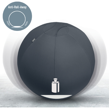 LEITZ Ballon d'assise Ergo Active, diamtre: 550 mm, gris