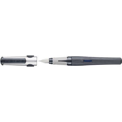 Pelikan Stylo plume Pelikano structure P480M, gris