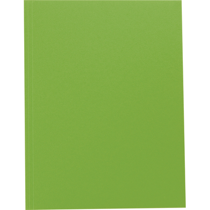 folia Carton  dessin, en carton, A4, vert