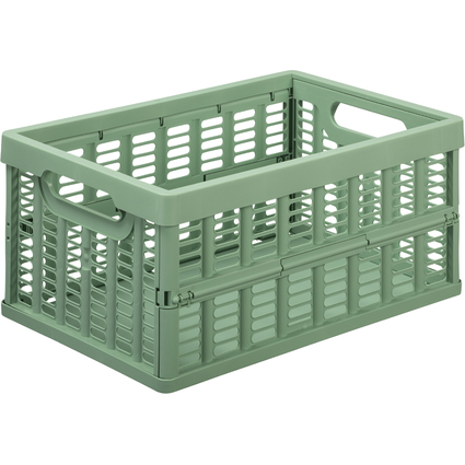 NHG Caisse de rangement pliante, PP, 11,5 litres, vert