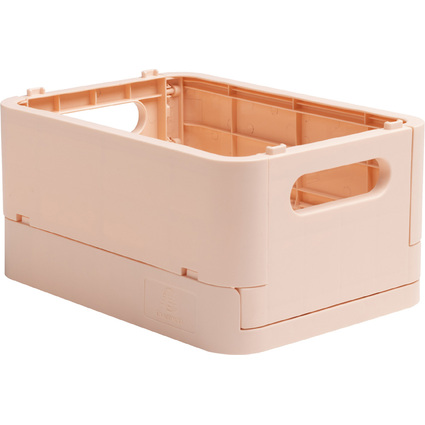 EXACOMPTA Bote de rangement Smart Case Mini, nude