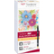 TOMBOW Feutre double pointe "ABT DUAL BRUSH PEN", couleurs
