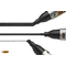 BIC Marqueur permanent 2300 Ecolutions, pointe biseaute,