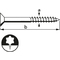 suki. Vis  bois Plus, 4,5x40 mm, T20, acier inoxydable