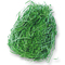 folia Herbe de dcoration/herbe de Pques, 30 g, vert