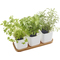 orthex Pot  herbes aromatiques EDEN, set de 3, blanc
